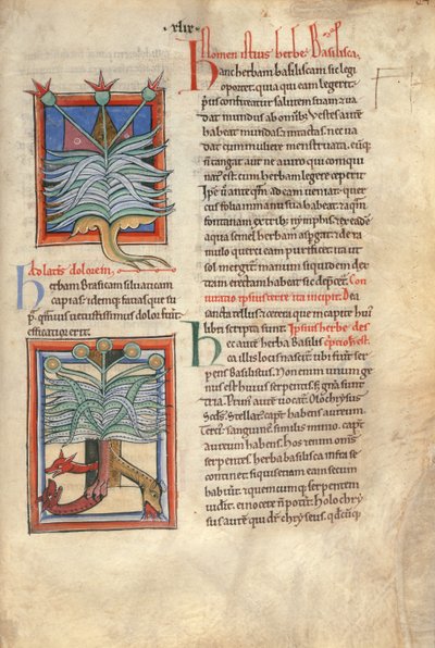 Sloane Ms 1975 fol.48 L