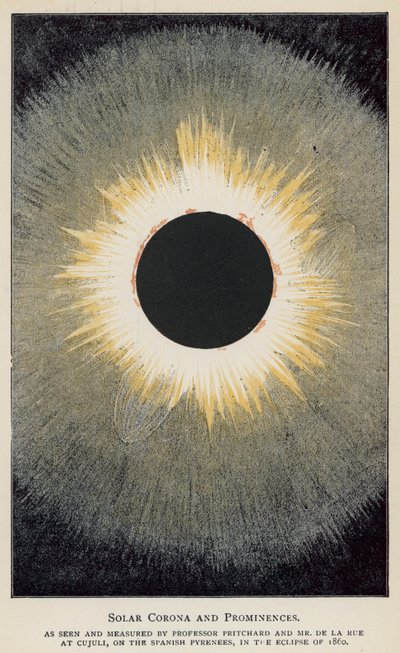 Corona solare e prominenze, come viste e misurate dal professor Pritchard e dal signor De La Rue da English School
