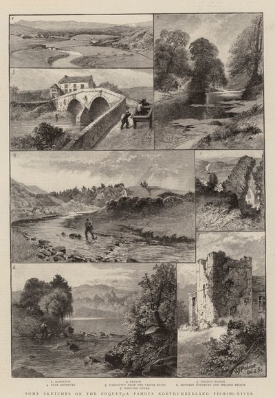 Alcuni schizzi sul Coquet, un famoso fiume di pesca del Northumberland da English School