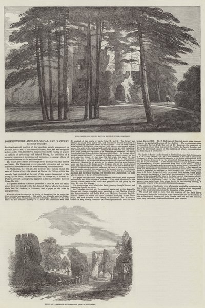 Società Archeologica e di Storia Naturale del Somersetshire (incisione) da English School