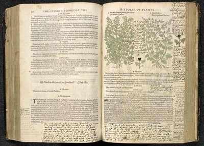 Veronica, pagine 500-501 da 