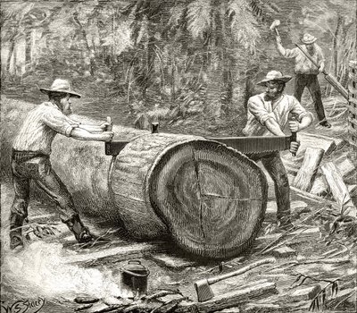 Spaccalegna nel Bush, c.1880, da 