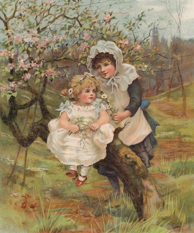 Fiori di primavera a maggio da English School