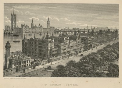 St Thomass Hospital, Londra da English School