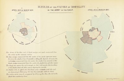 Grafico statistico inventato da Florence Nightingale per mostrare la predominanza delle malattie come causa di mortalità nell