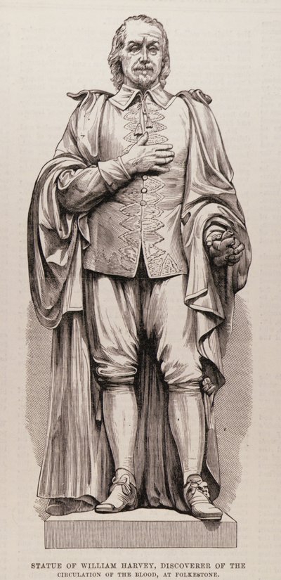 Statua di William Harvey (1578-1657), scopritore della circolazione del sangue, a Folkestone, da The Illustrated London News, 13 agosto 1881 da English School