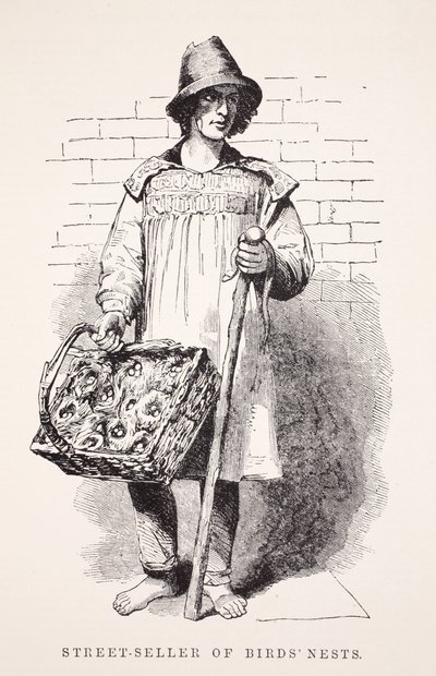 Venditore di nidi di uccelli per strada, illustrazione da London Labour and London Poor di Henry Mayhew, pub. 1862 da English School
