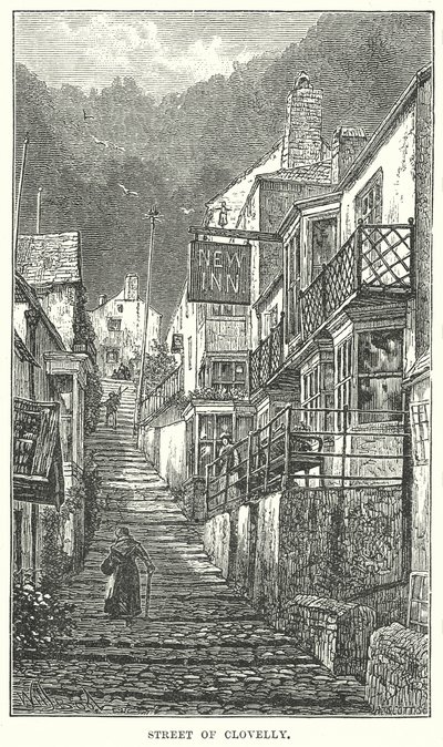 Strada di Clovelly (incisione) da English School