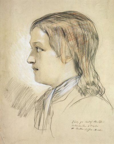 Studio per la testa di Alex Pope (1688-1744) introduzione a Dryden, al Butler