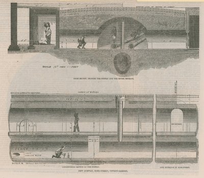 Sezioni della metropolitana da English School