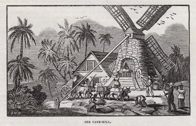 Produzione di zucchero (incisione) da English School