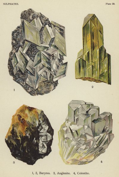 Solfati, barite, anglesite, celestite (litografia a colori) da English School
