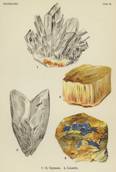 Solfati, gesso, linarite (litografia a colori) da English School