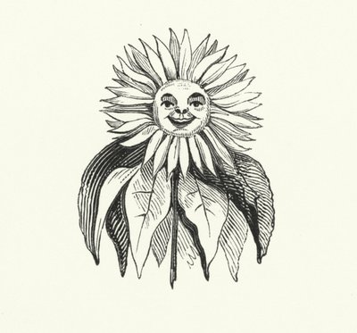 Girasole da English School