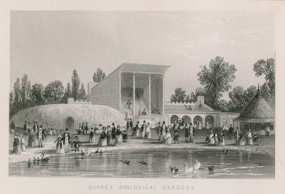 Giardini Zoologici del Surrey da English School