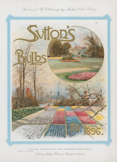Bulbi di Sutton per il 1896 da English School