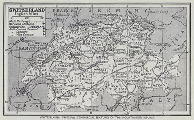 Svizzera, Principali caratteristiche commerciali della Repubblica Montuosa da English School