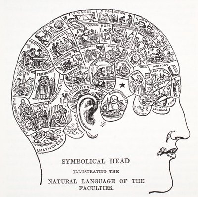 Testa simbolica che mostra il linguaggio naturale delle facoltà da English School