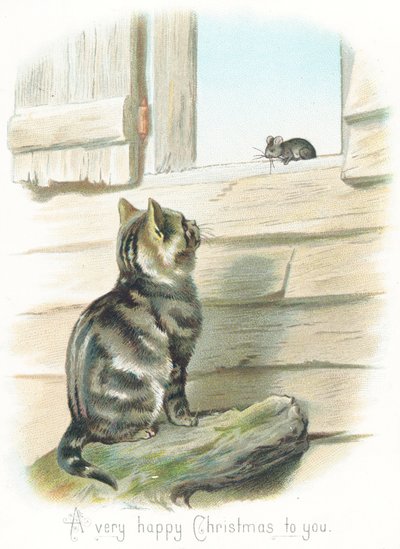Gatto tigrato che osserva un topo da English School