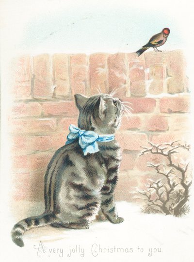 Gatto tigrato che osserva un fringuello sul muro da English School