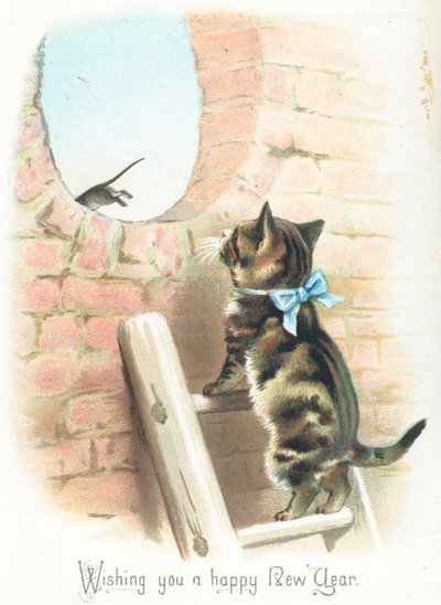Gatto tigrato che osserva un topo scappare da English School