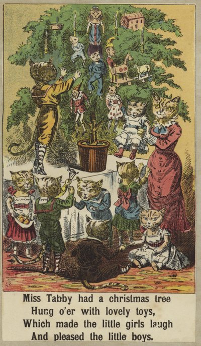 La festa di Tabby da English School