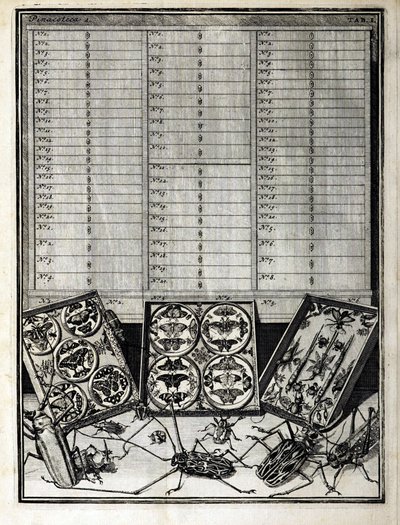 Tavola 1 da Elenchus Tabularum di Levin Vincent, 1719 da English School