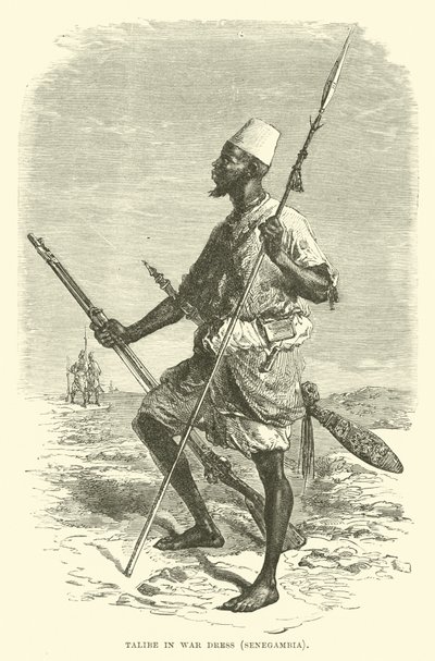 Talibe in abito da guerra, Senegambia da English School