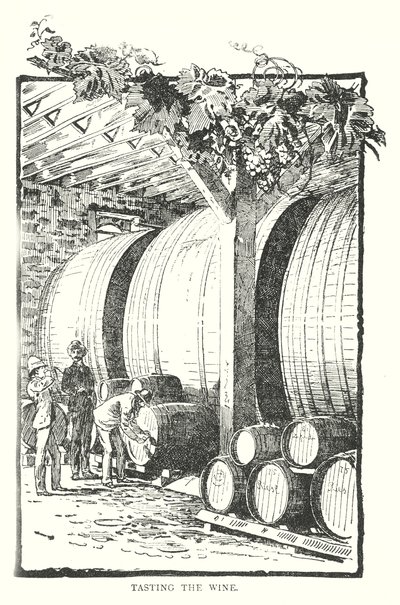 Degustazione del vino (incisione) da English School