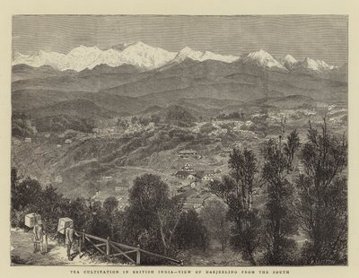 Coltivazione del Tè in India Britannica, Vista di Darjeeling dal Sud da English School