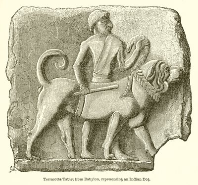 Tavoletta di Terracotta da Babilonia, Rappresentante un Cane Indiano da English School