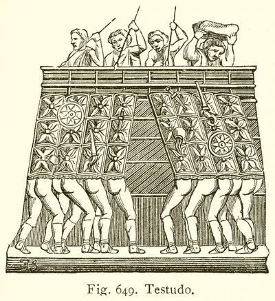 Testudo da English School