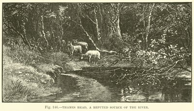 Thames Head, una presunta fonte del fiume da English School