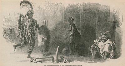 La Mostra Africana al Cosmorama, Regent Street da English School