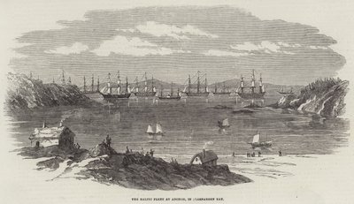 La flotta baltica all