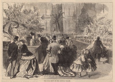 Mostra di uccelli al Crystal Palace da English School