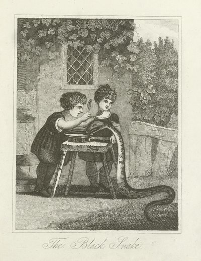 Il serpente nero da English School