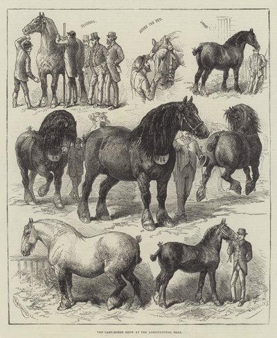 La Mostra del Cavallo da Tiro alla Sala dell