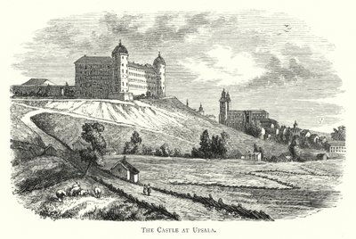 Il castello di Upsala da English School