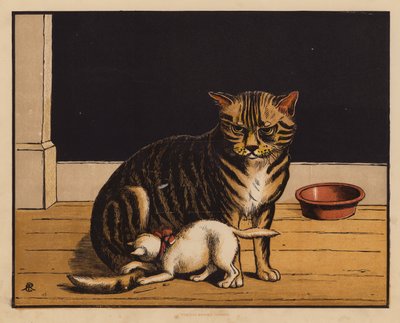 Il gatto da English School