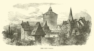 Le Mura della Città da English School
