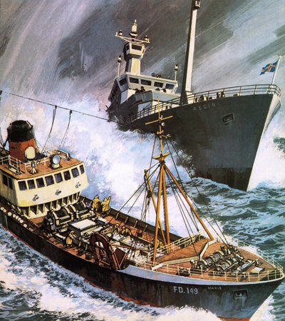 La guerra del merluzzo da English School