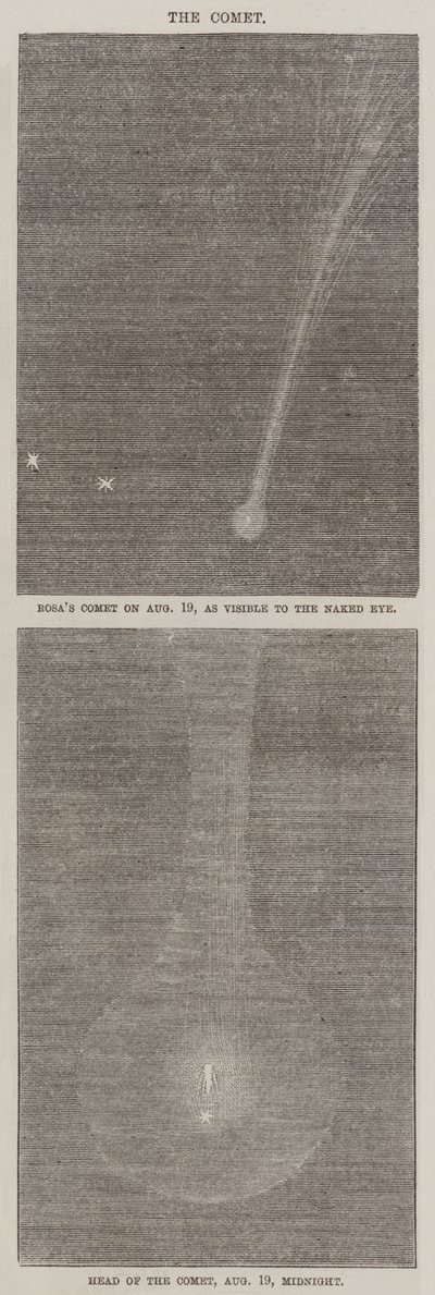 La cometa da English School