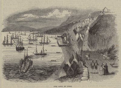 La Baia di Cork, Irlanda da English School