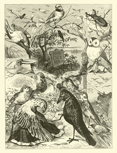 La morte e la sepoltura di Cock Robin da English School