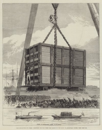 La partenza di Jumbo, sollevando la sua cassa dalla chiatta al molo ai Millwall Docks da English School