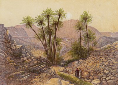 Il deserto del Sinai da English School