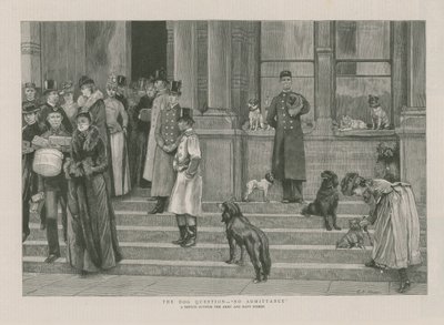 La questione del cane - Nessuna ammissione da English School