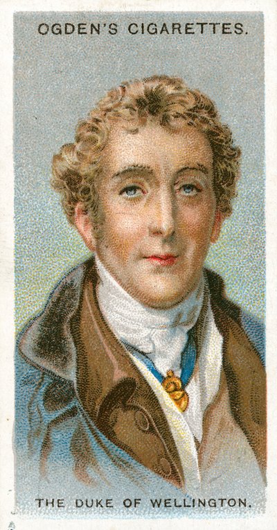 Il Duca di Wellington da English School