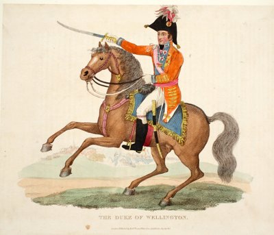Il Duca di Wellington, pub. da Richard Evans, inciso da Romney, illustrazione da An Historical Account of the Battle of Waterloo di William Mudford, 1816 da English School